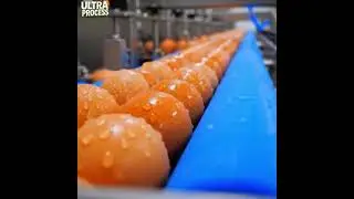 Inside the Mega Factory Turning 1.3 BILLION Eggs into Liquid Products | Food Processing Secrets