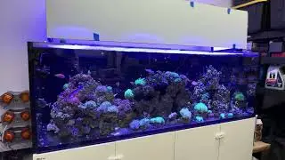 Самодельная крышка для рифового аквариума