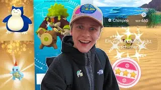 Der CHIMPEP COMMUNITY DAY war UNGLAUBLICH!