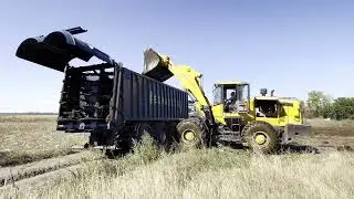 Робочі моменти, які надихають!