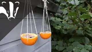 Make your own natural bird feeder