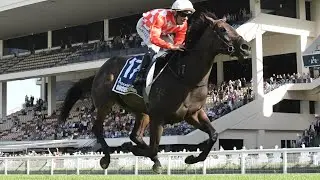 Orchestral | Trackside NZ Derby G1