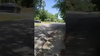 Walking Carrboro, North Carolina/ Tree City U.S.A. / Cicadas
