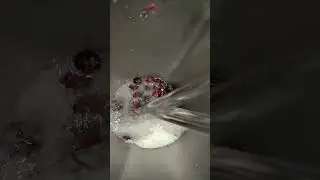 fresh falsa juice #fresh #falsajuice