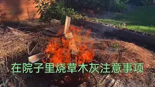 草木灰又称种植万能神灰——在美国自家院子里怎么烧草木灰才合法？收集院子里的树枝 野草 定期烧草木灰，既环保又经济有益！