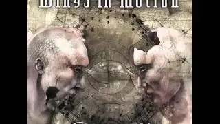 Wings In Motion - The Perfect Lines