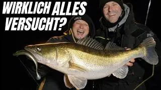 K&ouml;derfisch vs Gummifisch! Was funktioniert im Winter am flachen See?