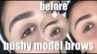 BUSHY MODEL BROWS I Nina Vee