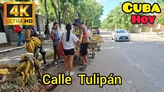 Del Cerro a Nuevo Vedado. CUBA HOY en 4K UHD
