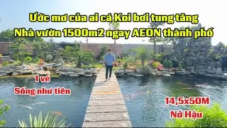 Ước mơ của ai c&aacute; Koi bơi tung tăng nh&agrave; vườn 1500m2 ngay AEON th&agrave;nh phố 1 v&eacute; sống như ti&ecirc;n nở hậu 50m