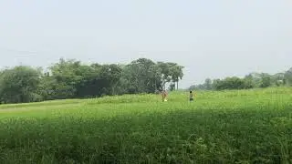 অপূ দুর্গা | April 16, 2024