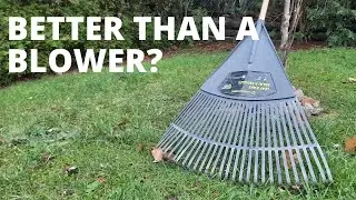 The Best Rake for Fall Cleanups