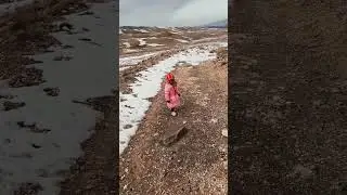 spin kariz haana orak
