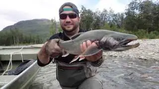 Alaska Fly Fishing - Rainbow Trout, Silver Salmon, and Arctic Char (HD)