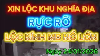 Xin Lộc khu nghĩa địa dưới ch&acirc;n n&uacute;i sam ng&agrave;y 24/1/2026