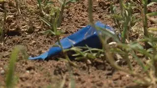 LPD Body Camera Video Released After Water Fight goes Viral
