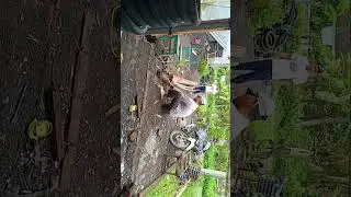 Fat lee Kusuma efendi sedang live sekarang!