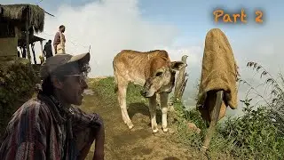 Is Rural Life in South India BETTER Than City Life?