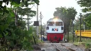 HUNTING KERETA API SENJA DI SEKITAR TABING 