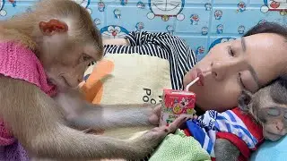 Monkey Sam is worried when Mom is sick