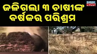3 Farmers’ Year-Long Hard Work Destroyed In Fire | Ganjam Paddy Fields Burnt