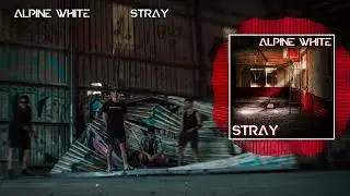 Alpine White - Stray
