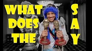 What Does The Fox Say? MK11 SonicFox vs. Hayatei Summit Semifinals