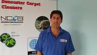 How much is carpet cleaning in Doncaster