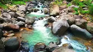 🌸 Tender River Stream | Soft Water Sounds | Gentle Flow | Delicate Relaxation & Peace