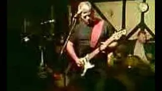 Bullfrog Blues