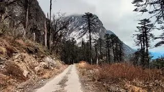 Silent Mountain Road Walk 🏔❄️ | POV Nature Walk | Light Snow | No Music