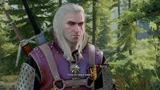 The Witcher 3 - A short compilation of funny/glitchy stuff that happened during my playthrough.