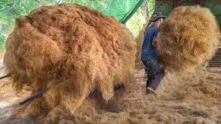 Amazing Way They Process Tons of Coconut Husk to Make Giant Mats