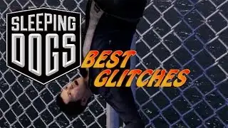 Sleeping Dogs Best Glitches