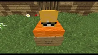 Big biome 8:51.734