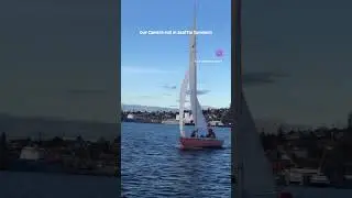 Seattle Summers