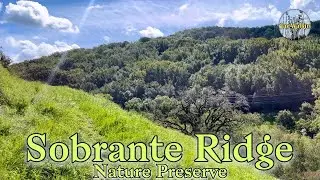 Lion Claw Marks & Wild Turkeys 🦃 | El Sobrante, California [4K] ASMR 🇺🇸