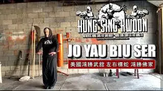JO YAU BIU SER (LEFT RIGHT SHOOTING SNAKE) CHOY LEE FUT FORM