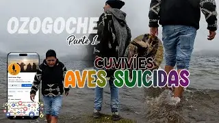 OZOGOCHE Y LOS CUVIVÍES SUICIDAS | Parte 1| Darío Xavier|