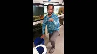 Catching Fish in a Jacksonville Florida Ditch