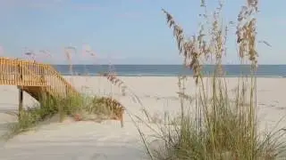 Barefoot: Fort Morgan Beach Rentals