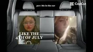 Me and pine tree in the car be like