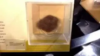 Pele's Hair
