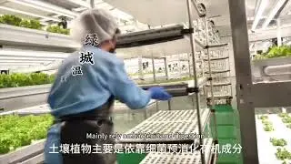 Greenhouse factory