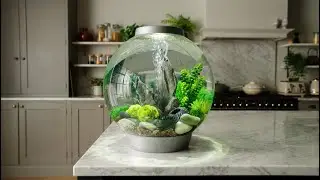 biOrb CLASSIC ⎸ Aquarium Product Overview