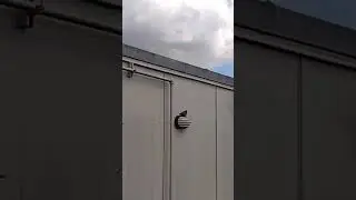 bird enjoying you