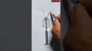 How to draw betel nut tree | Easy drawing #shorts  #pencilart