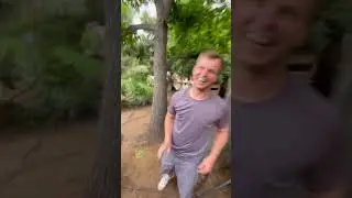 Professional snake handler successfully captures a massive Bull Snake!
