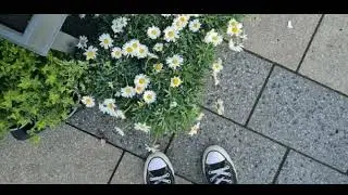 comehere - zenith [ cover by kaung myat ]