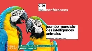 &Agrave; quoi pensent les abeilles ? - JOURN&Eacute;E MONDIALE DES INTELLIGENCES ANIMALES